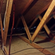 Illustration for article titled Garagelopnik - Insulation Edition